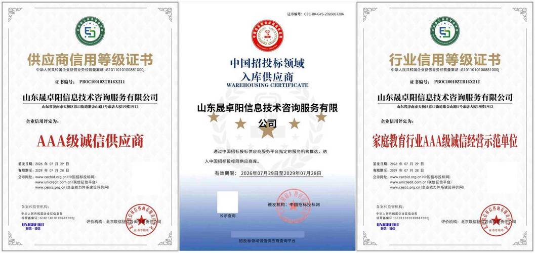 山東晟卓陽信息技術(shù)咨詢服務斬獲全套AAA資質(zhì) 科學家庭教育與信息技術(shù)咨詢的完美融合